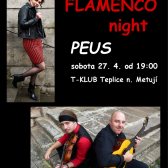 Flamenco Night a kapela PEUS v T-klubu 1